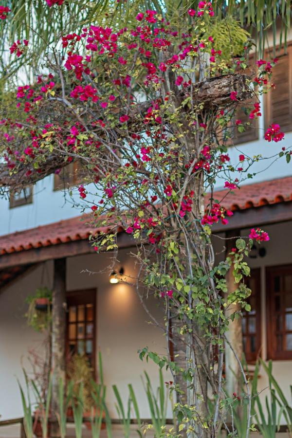 Pousada Pe Na Terra โบรตัส ภายนอก รูปภาพ