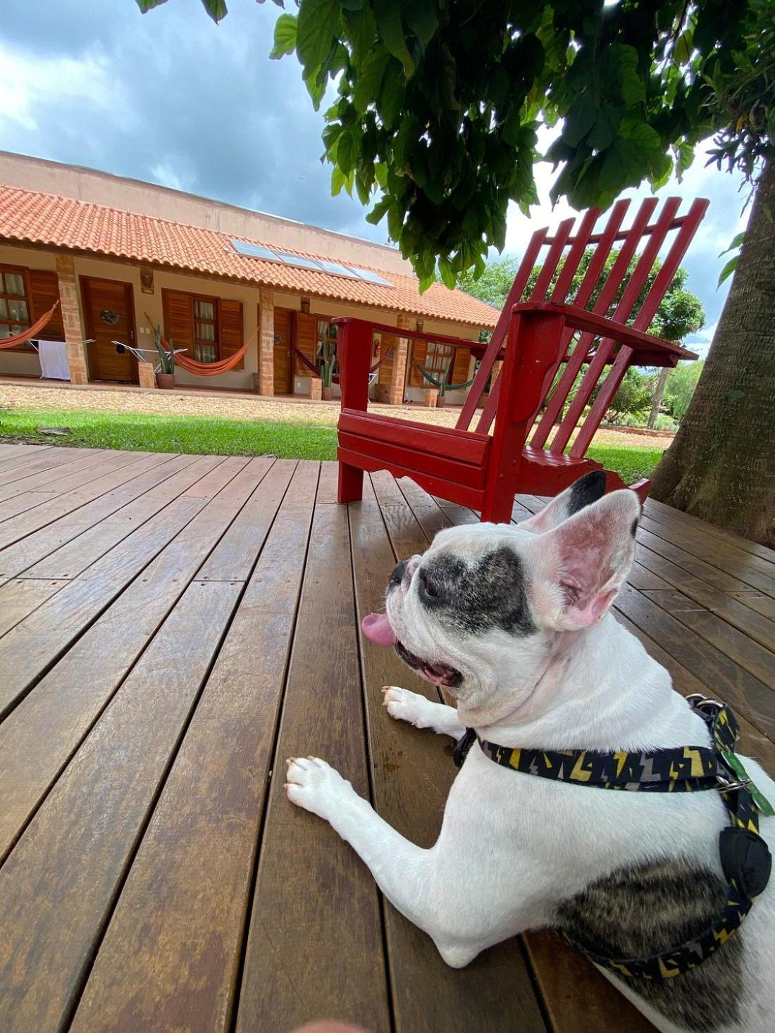 Pousada Pe Na Terra โบรตัส ภายนอก รูปภาพ